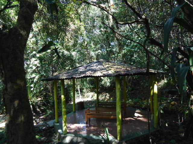 Khonghampat Orchidarium-因帕尔必去景点