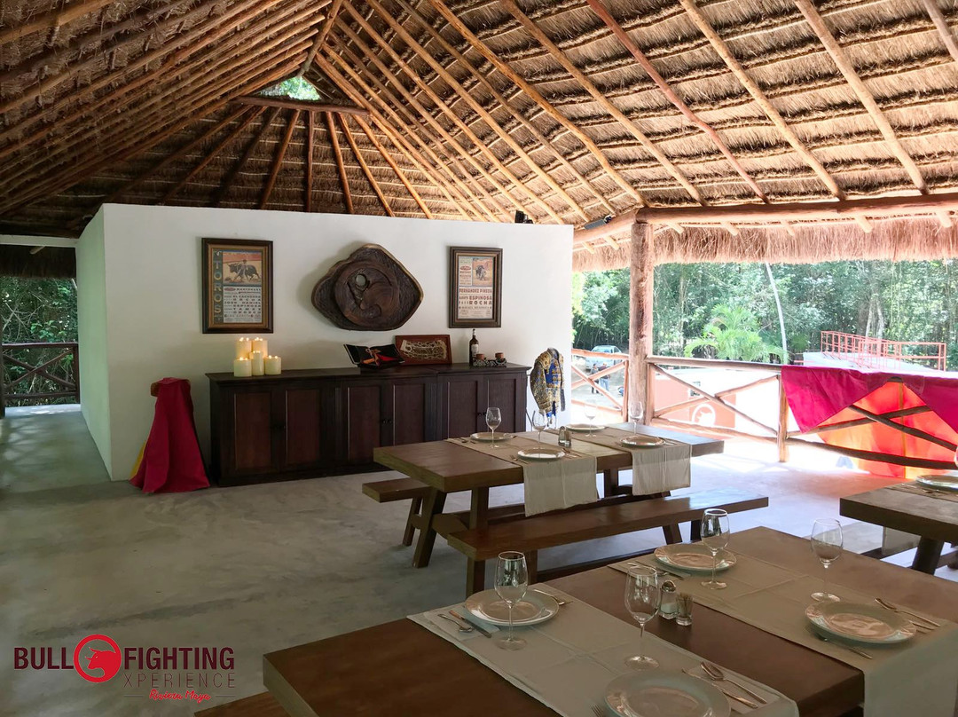 Bullfighting Xperience Riviera Maya-从莫雷洛斯港必去景点