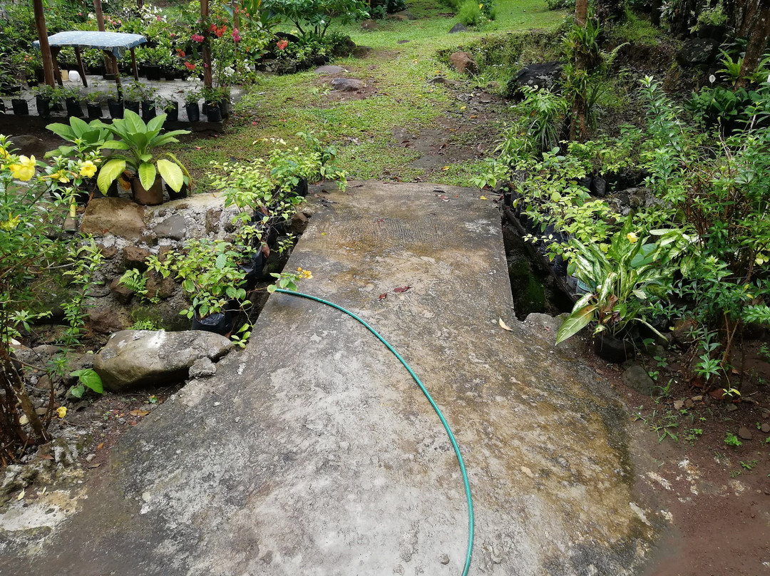 Little Bridges主图