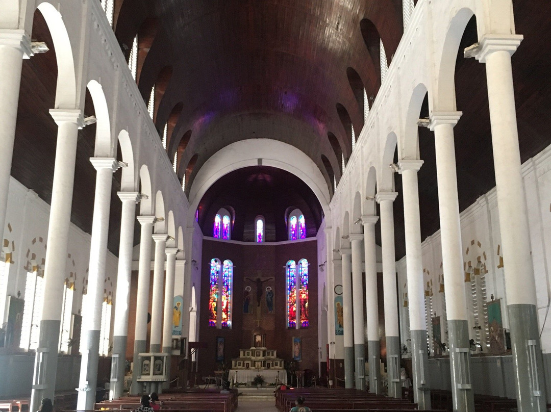 Cathédrale Saint-Pierre-et-Saint-Paul景点图片