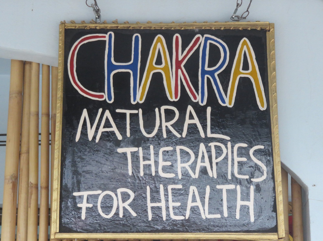 Chakra Natural Therapies for Health by Yan-帕岸岛必去景点