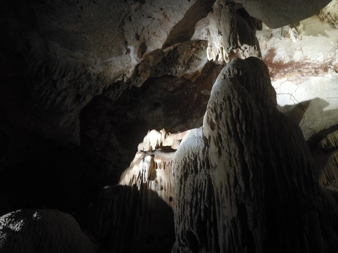 Cutta Cutta Caves Nature Park景点图片