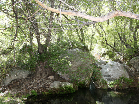 Smith Spring-Guadalupe Mountains National Park必去景点