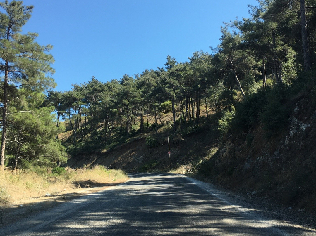 Sogukoluk (Guzelyayla) Piknik Alani景点图片
