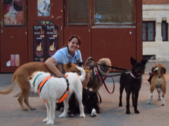 Sur Tour-加的斯市必去景点