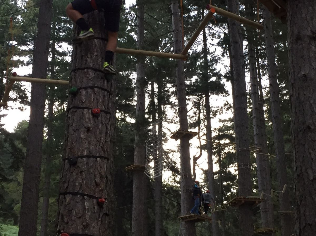 Parco Avventura Principe-Petilia Policastro必去景点