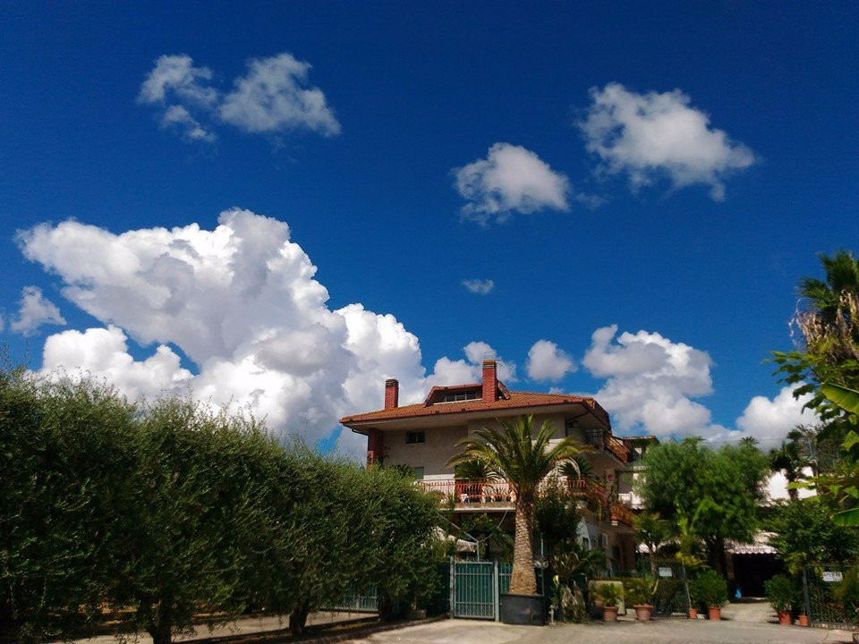 Massignano餐馆和美食-Ristorante Pizzeria le Palme
