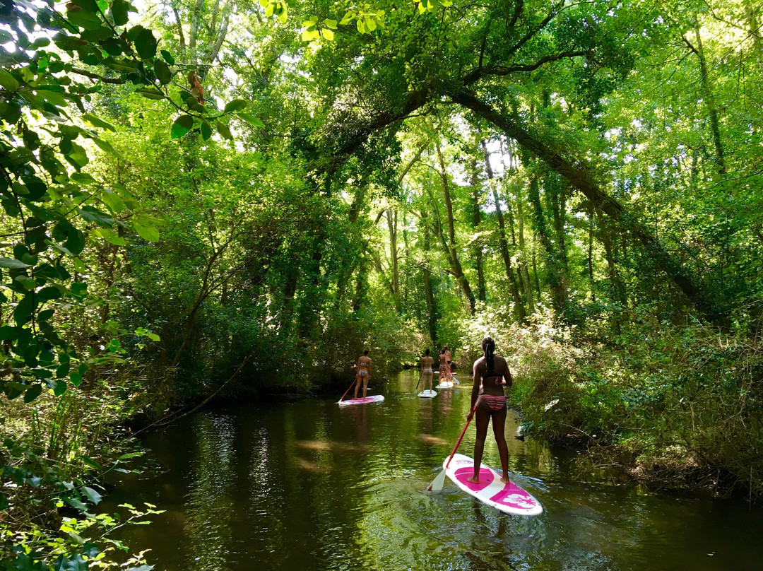 Supland Stand Up Paddle景点图片