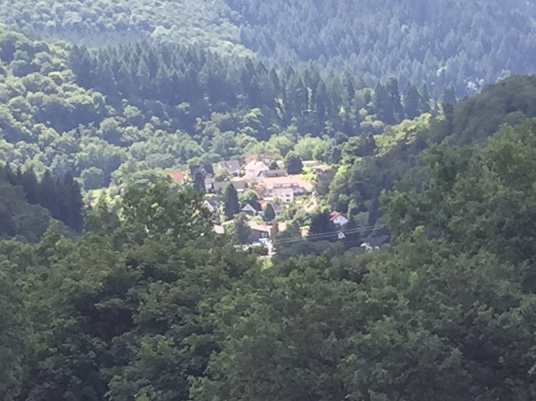 Wild- und Freizeitpark Westerwald景点图片