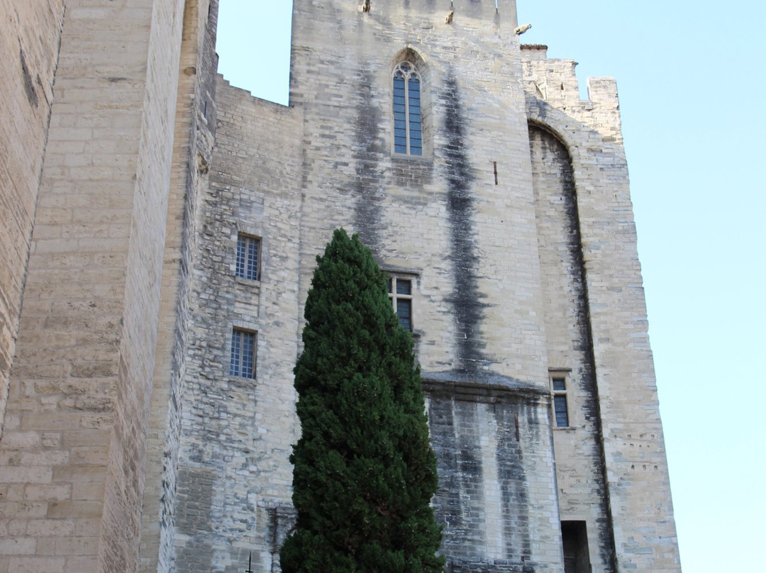 Palace Avignon-阿维尼翁必去景点