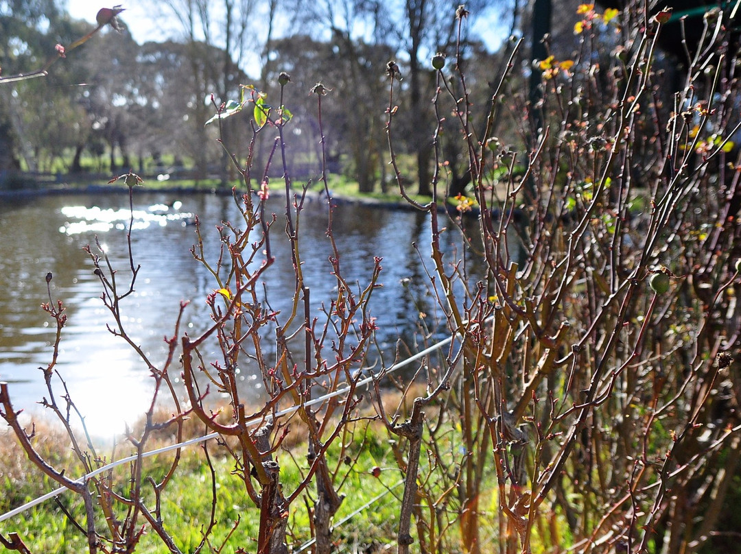 Henry of Harcourt-Harcourt必去景点