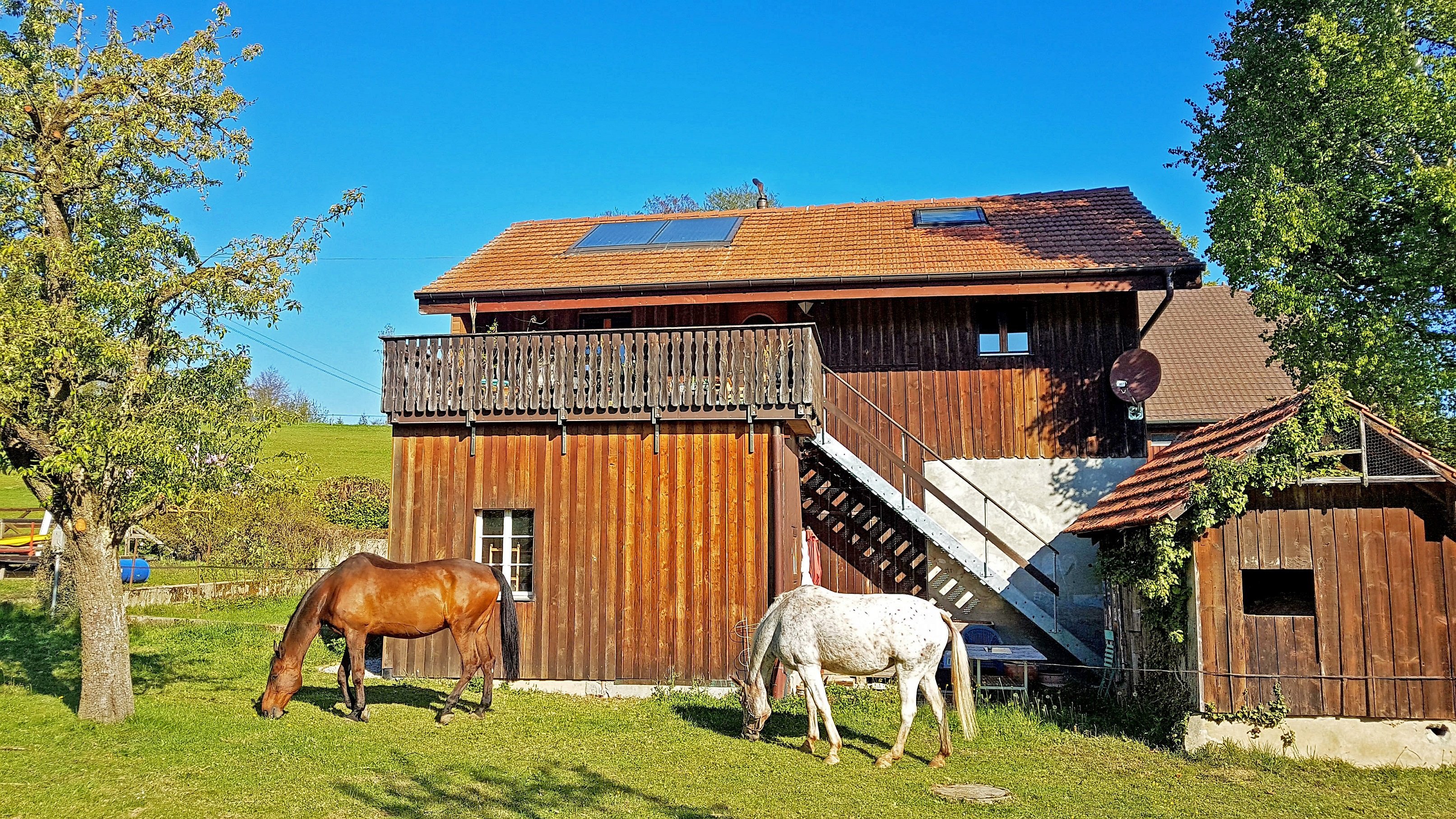 Guesthouse la Moliere-官方