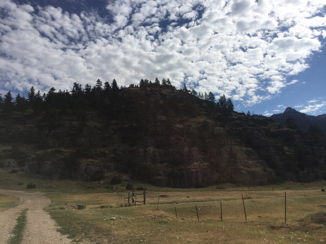 Pryor Mountains-比灵斯必去景点