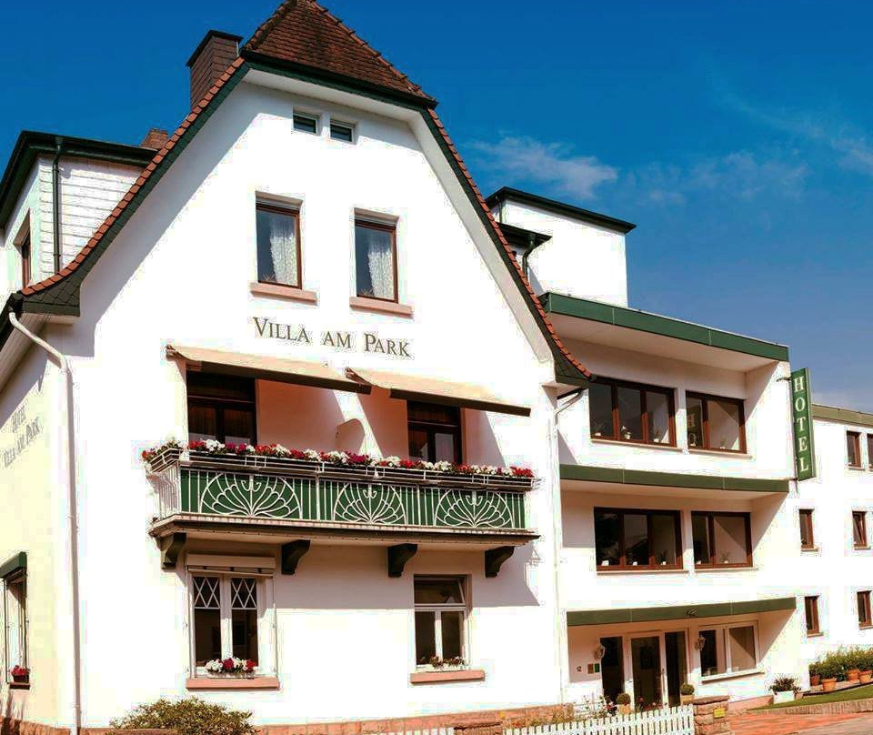 Sathya Ayurveda - Hotel Villa am Park主图