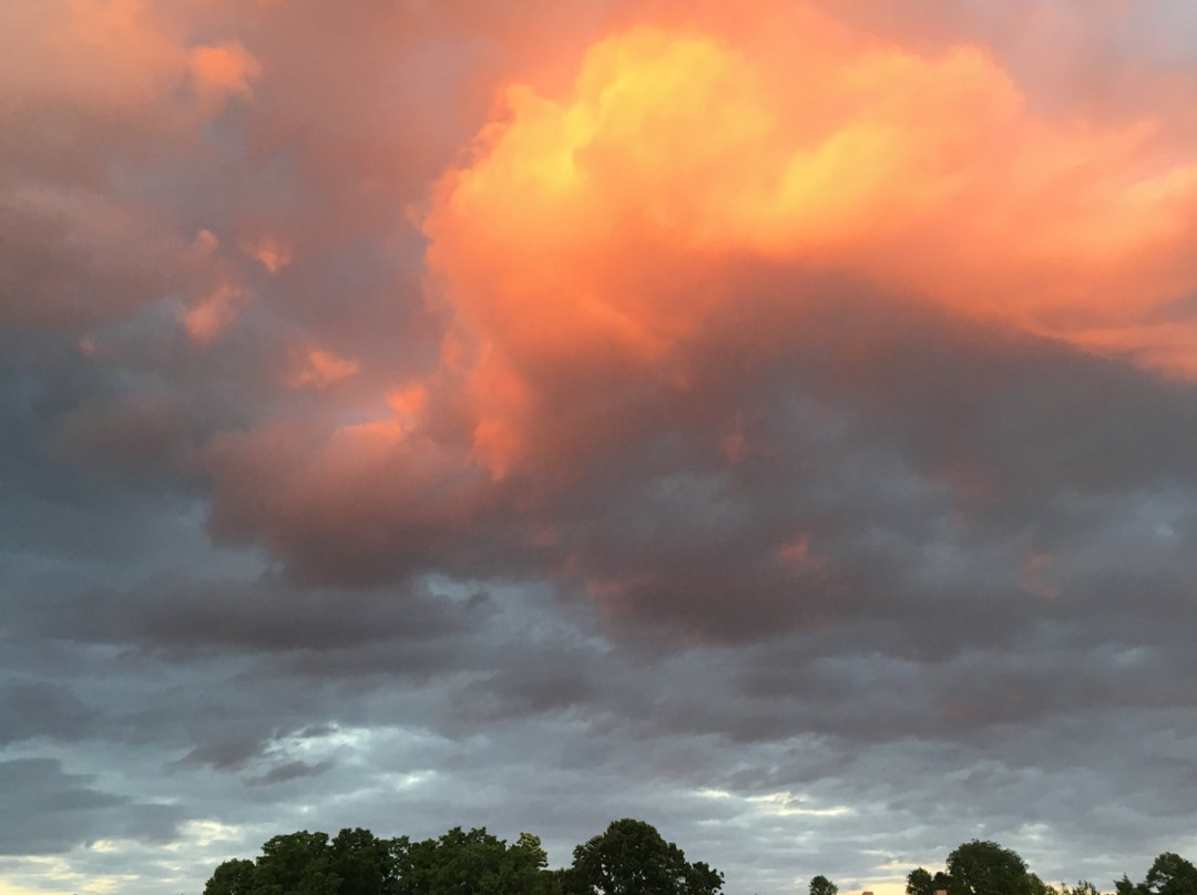 River Tyme Tours - De Pere-De Pere必去景点