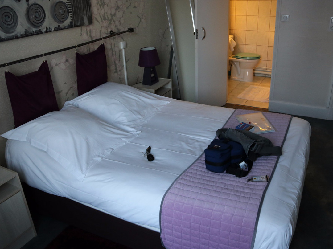 Logis Hôtel Mouton Blanc主图
