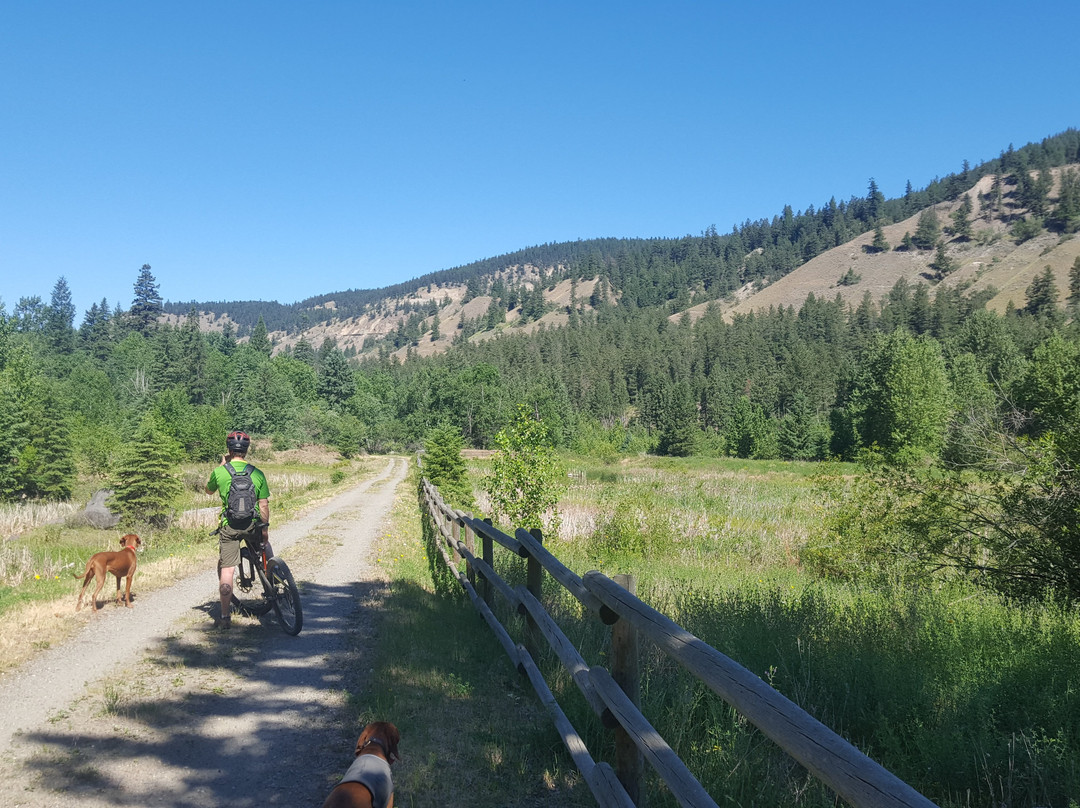 Williams Lake River Valley Trail景点图片