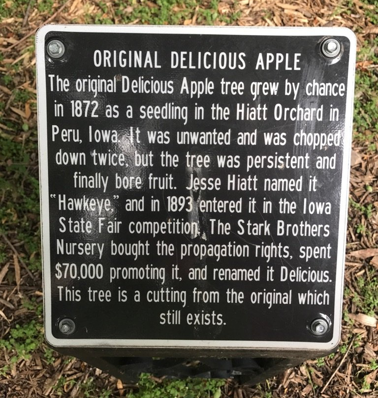 Living Heritage Tree Museum-斯托姆莱克必去景点