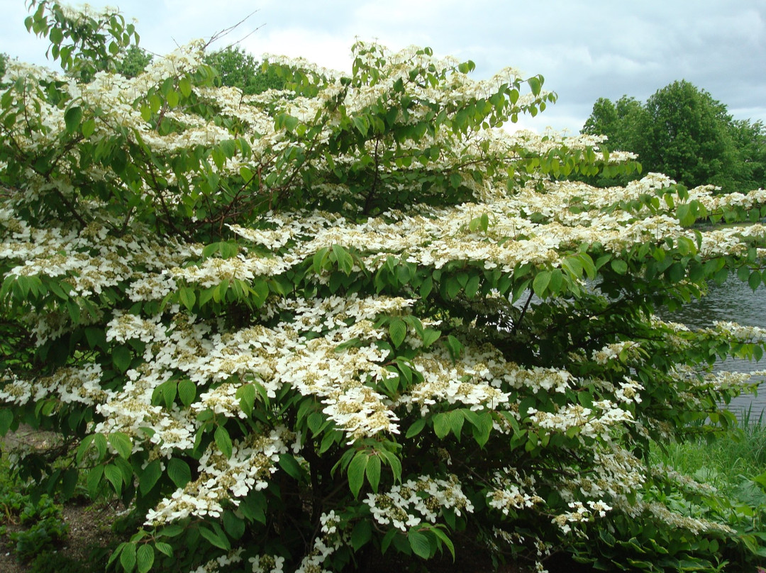 Spreeauenpark Cottbus-Cottbus必去景点