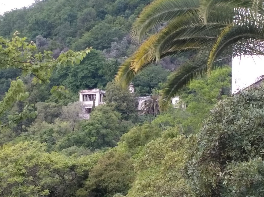 Nestor Lakoba Country House景点图片
