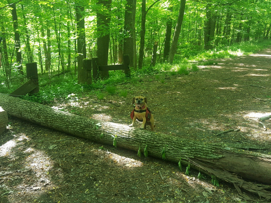Franklin D. Roosevelt State Park-Yorktown Heights必去景点