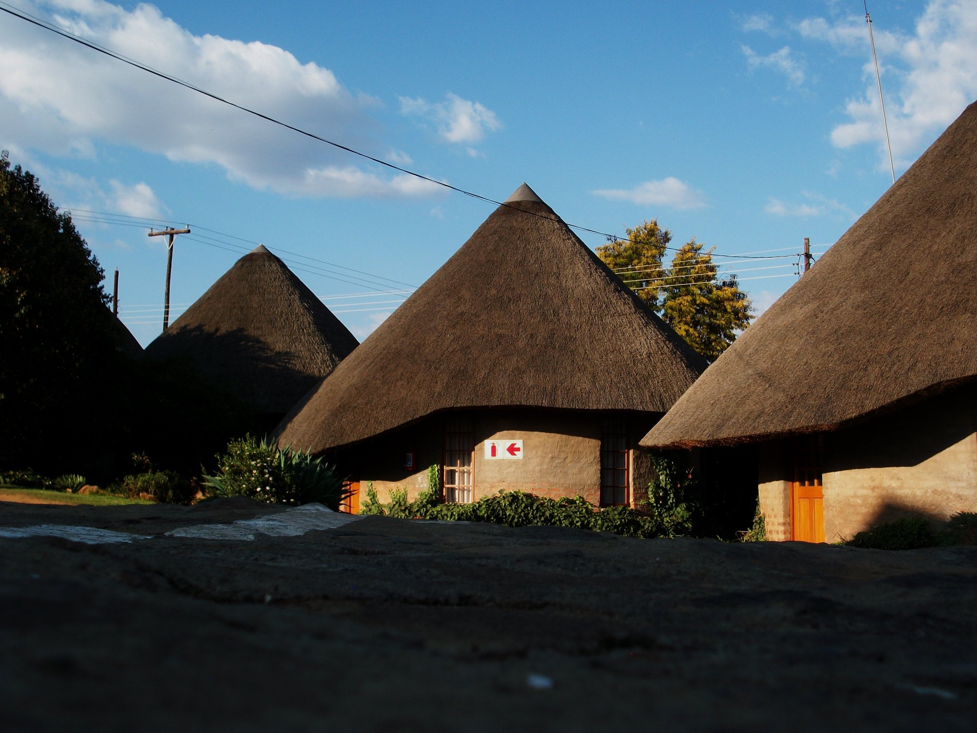 Bird Haven Guesthouse-官方