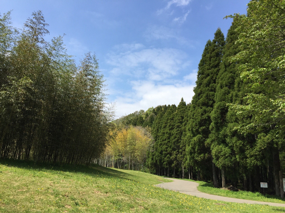 Showa no Mori Park-千叶市必去景点