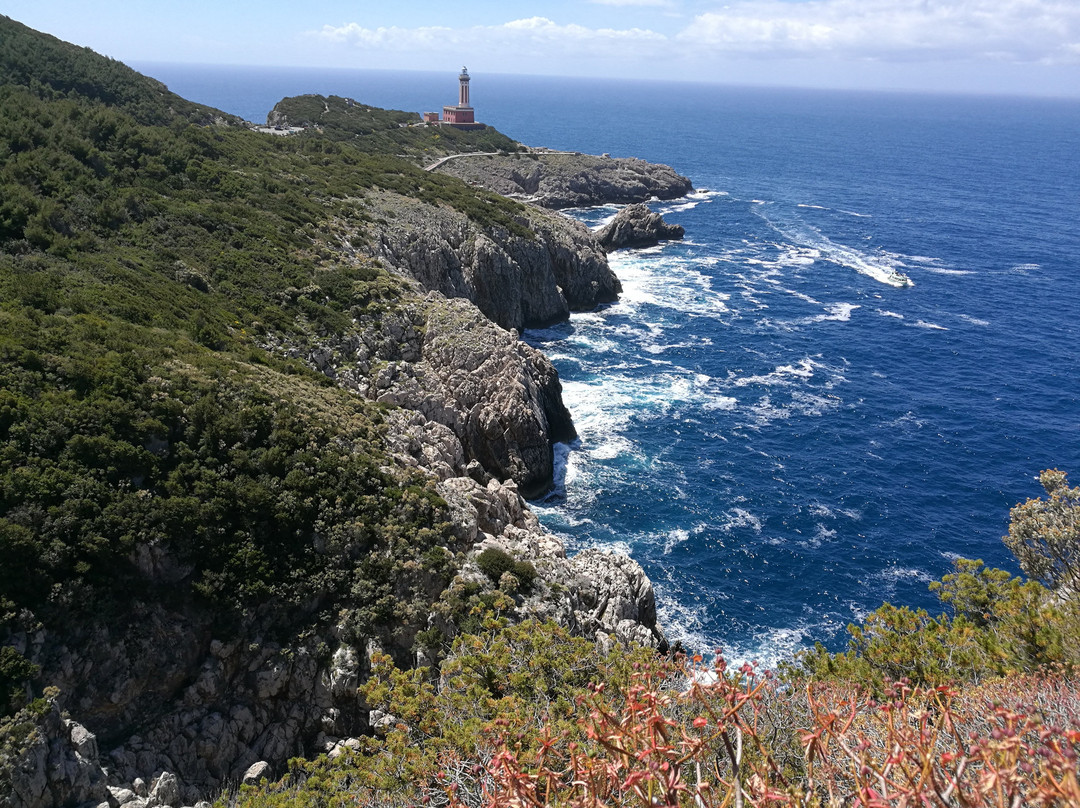 Fortini Coastal Walk