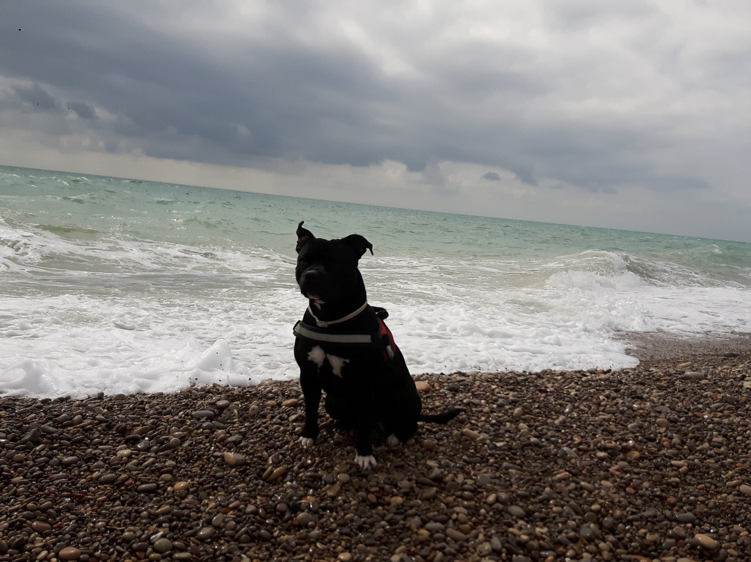 Playa de La Mar Xica-Benicarlo必去景点