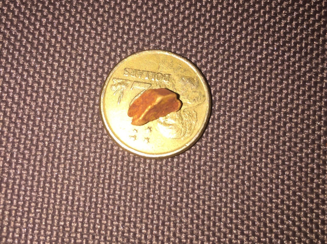 Gold Prospecting Kalgoorlie-卡尔古利必去景点