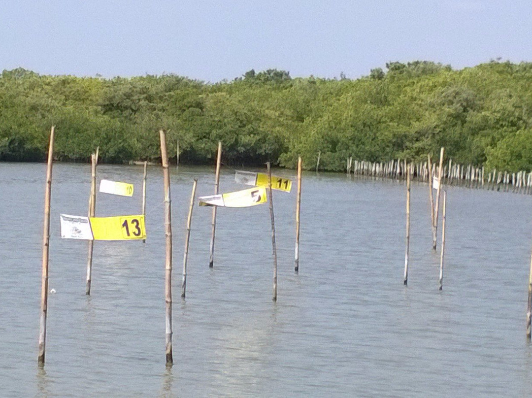 La Ria  Parador Turistico-Progreso必去景点