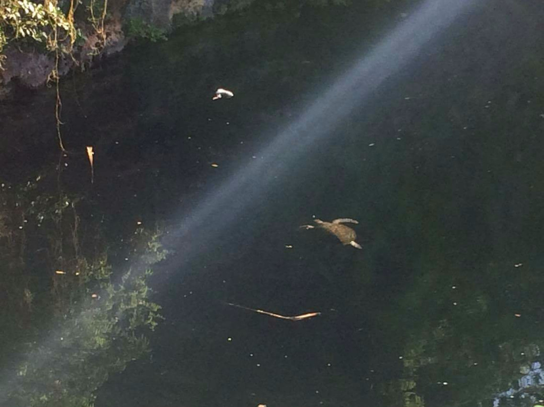 Trou aux Tortues-Ouvea必去景点