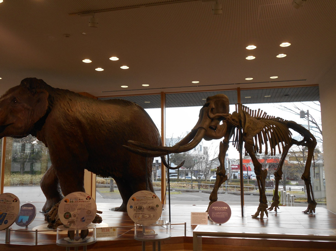 Toyama Science Museum景点图片