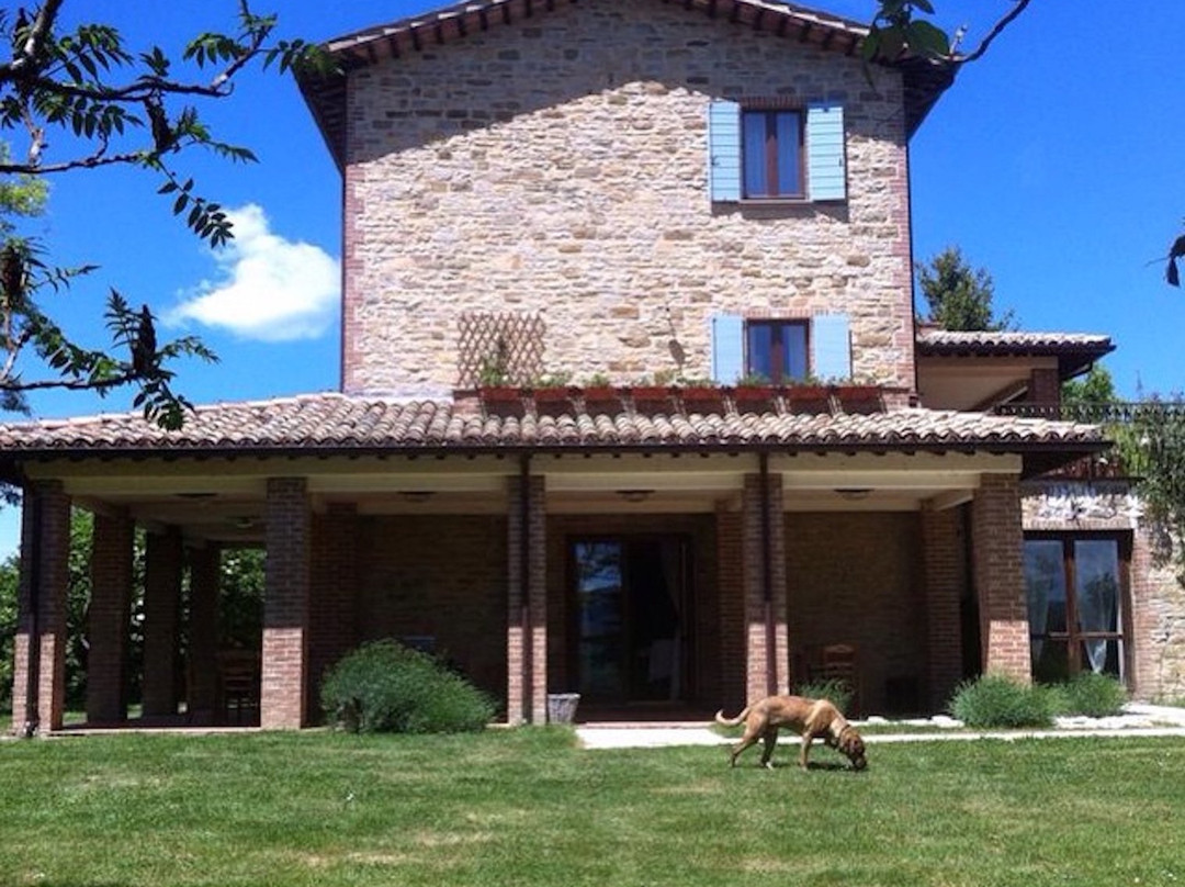 Salmata酒店住宿-Agriturismo La Corte del Lupo