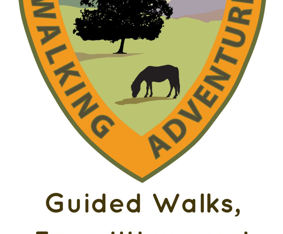 New Forest Walking Adventures景点图片
