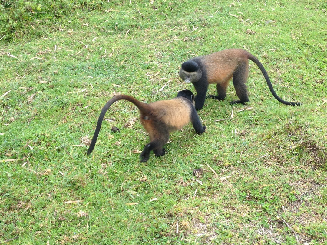 Red Rocks Rwanda-Ruhengeri必去景点