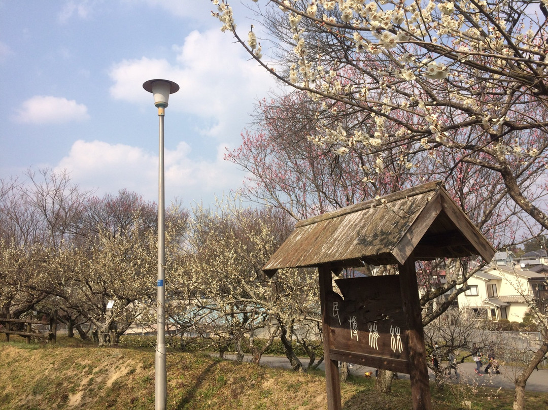 Nara Prefectural Museum of Folklore景点图片