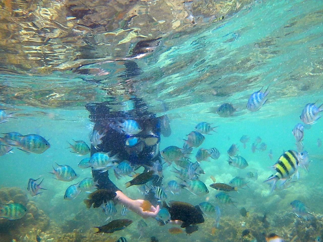 Tanjung Putus Island-班达楠榜必去景点