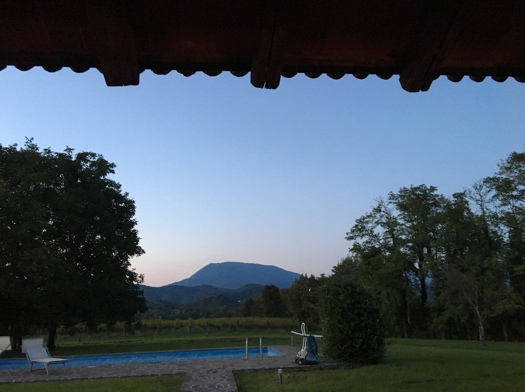 Azienda Agricola Vicentini Orgnani-Valeriano必去景点