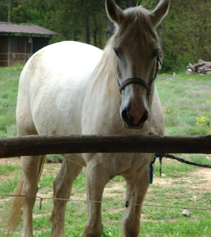 Rio Selvatico Ranch-Dego必去景点