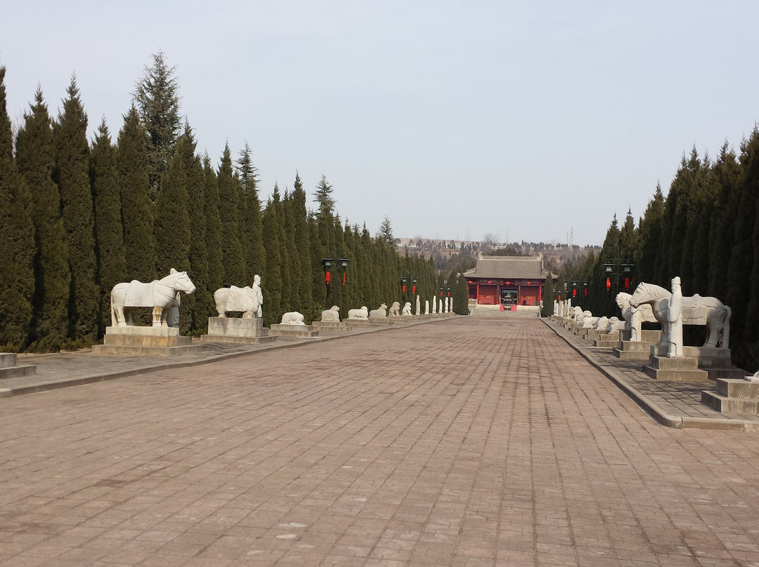 大唐秦王陵景点图片