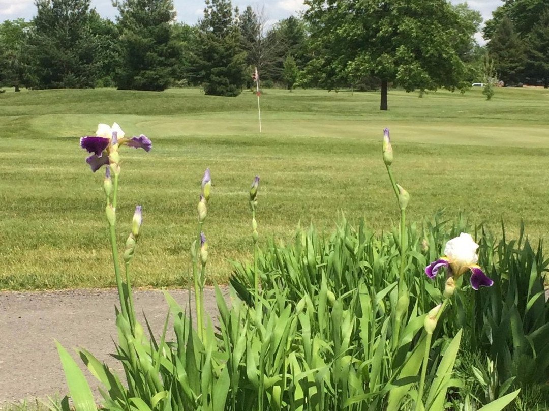 Springbrook Golf Club景点图片