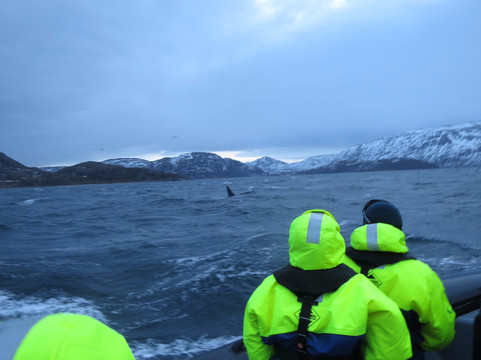 北极探险-特罗姆瑟必去景点