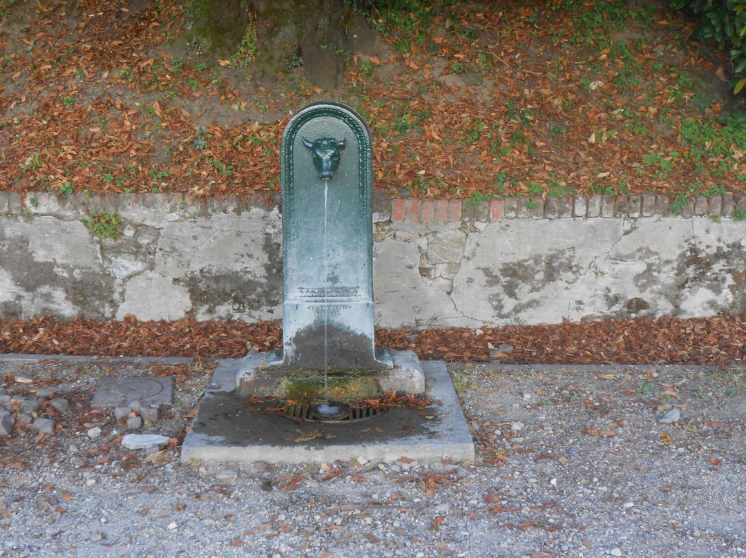 Parco Pubblico Villa Genero-都灵必去景点