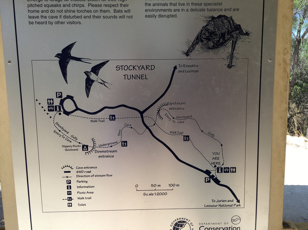 Drovers Cave National Park-朱里恩湾必去景点