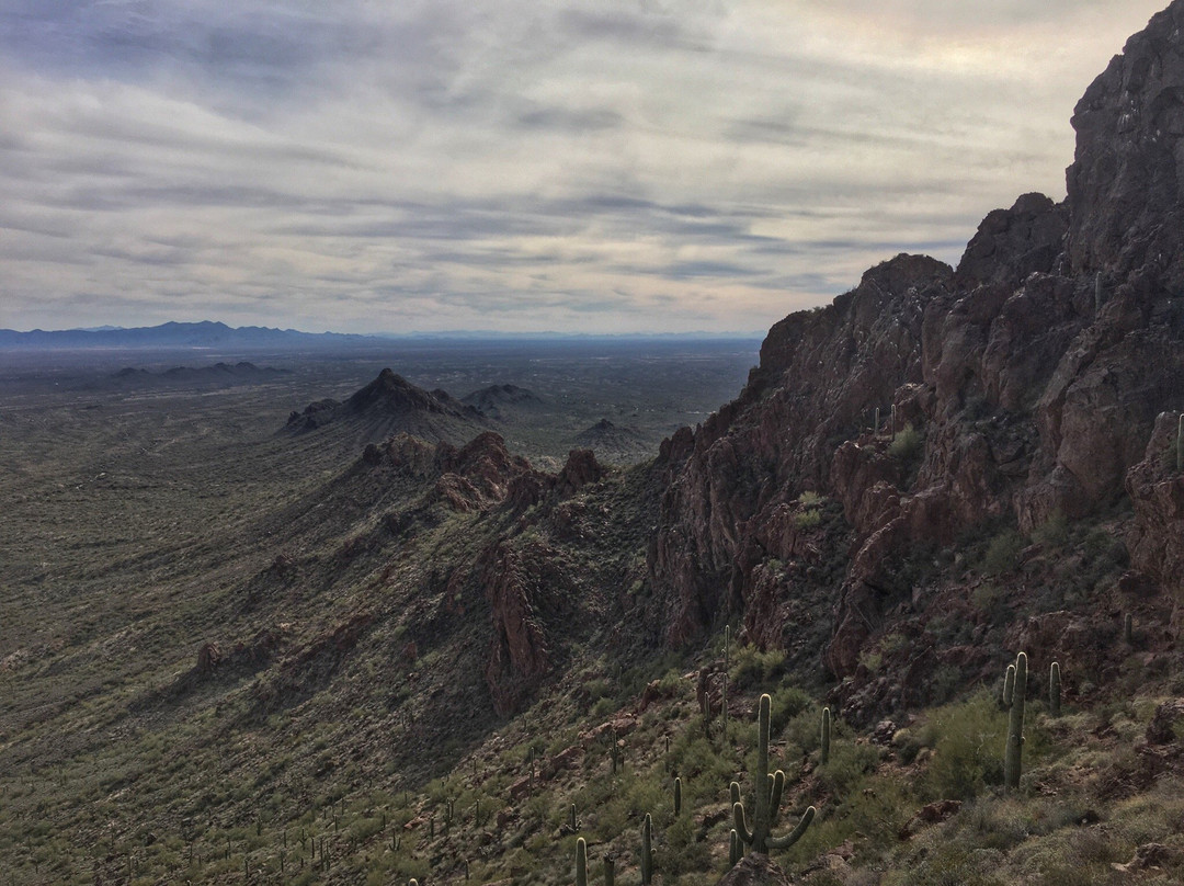 Vulture Peak Trail-Wickenburg必去景点