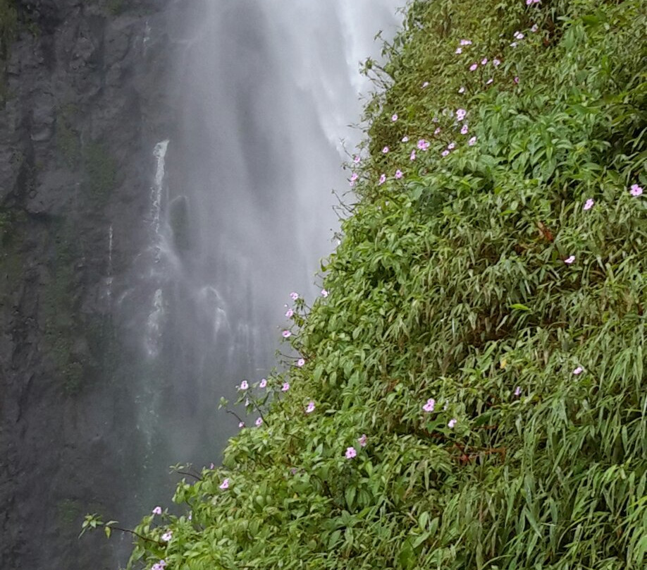 Curug Citambur景点图片