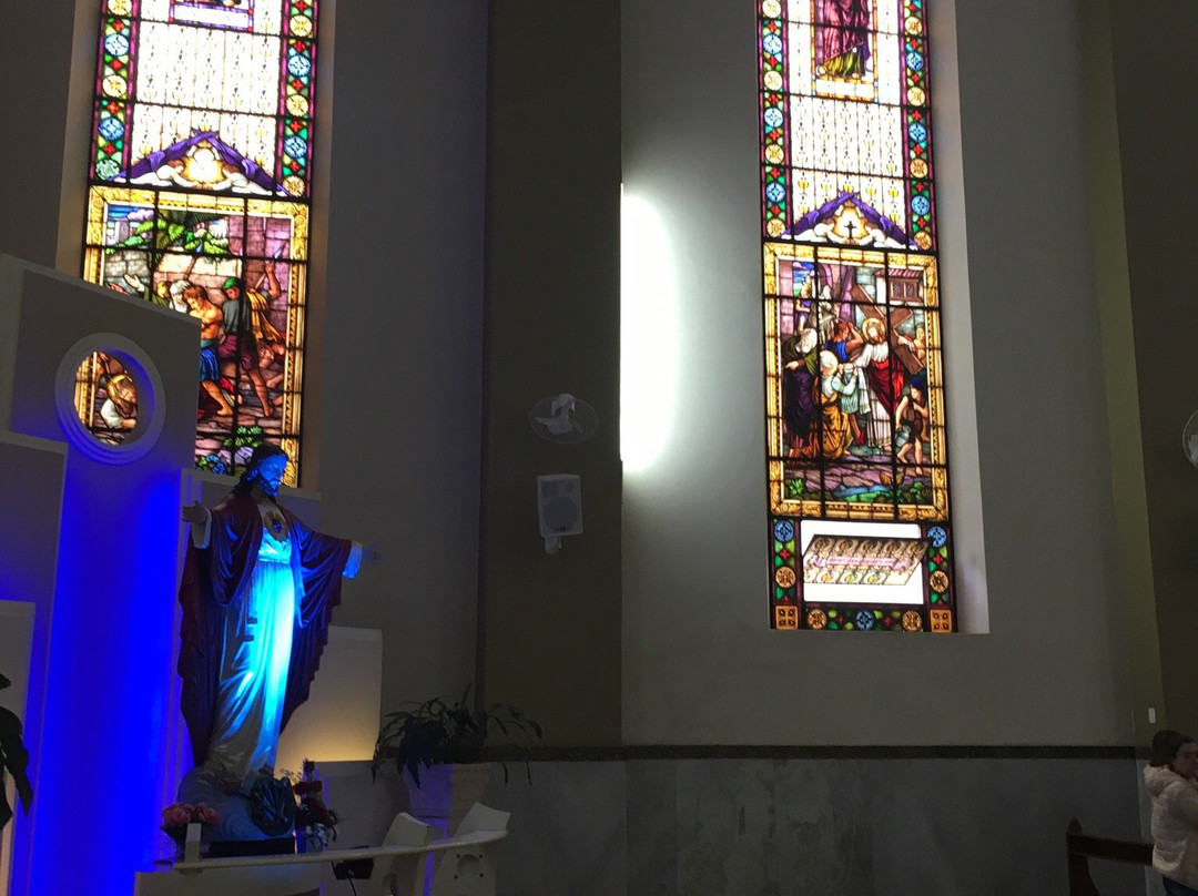 Catedral Nossa Senhora de Aparecida景点图片