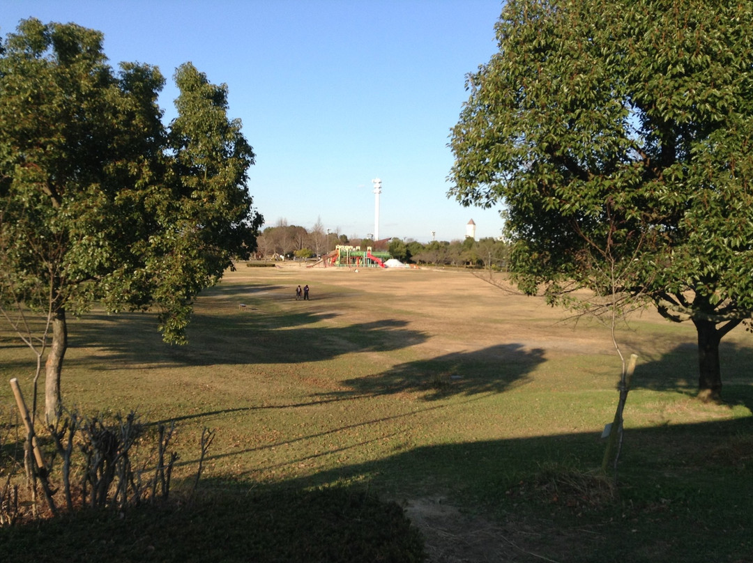 Aichi Fitness Forest Park景点图片