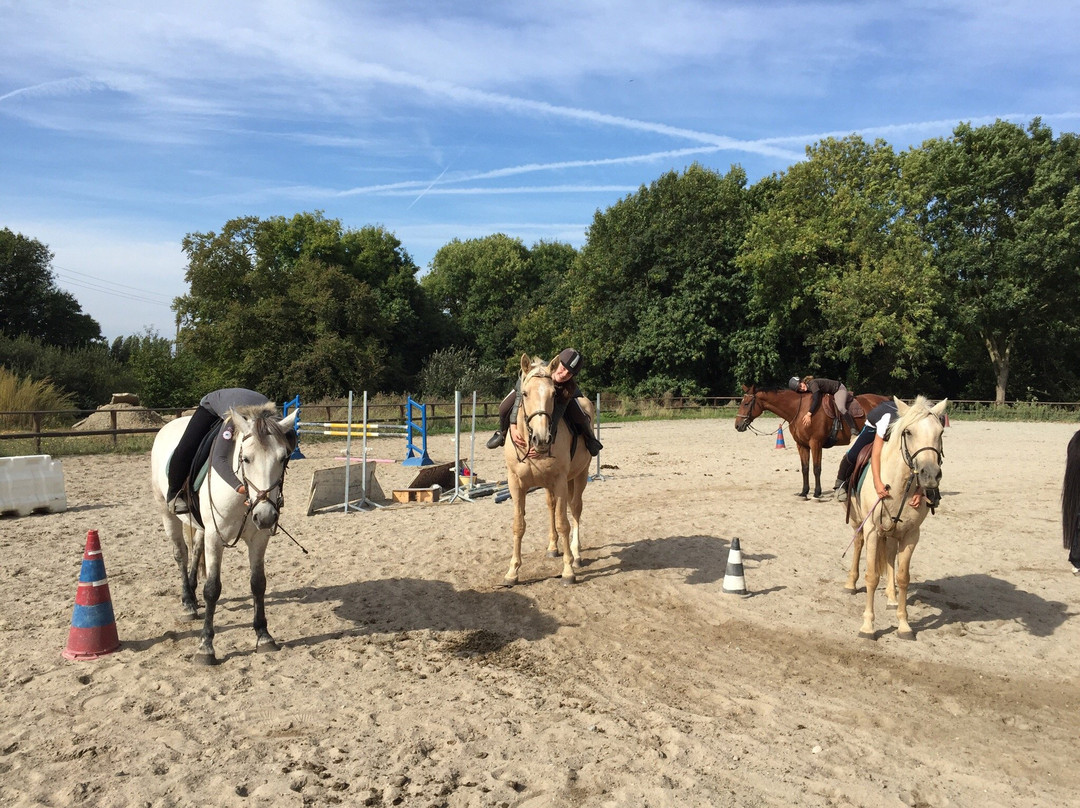 Centre Equestre des Douets Fleuris景点图片